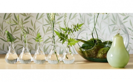 Clear Glass Bud Vase