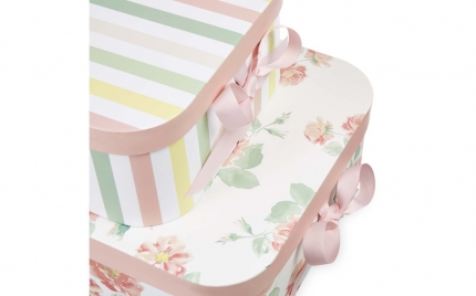 Tearose Storage Boxes Set of 2